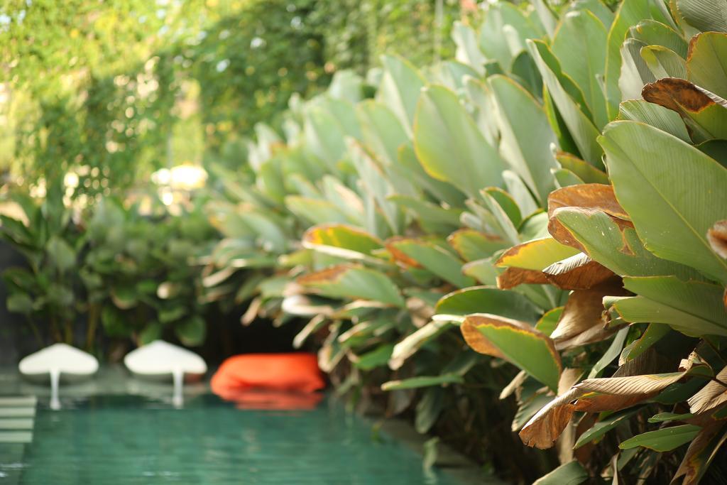 M Boutique Hostel Σεμινιάκ Εξωτερικό φωτογραφία